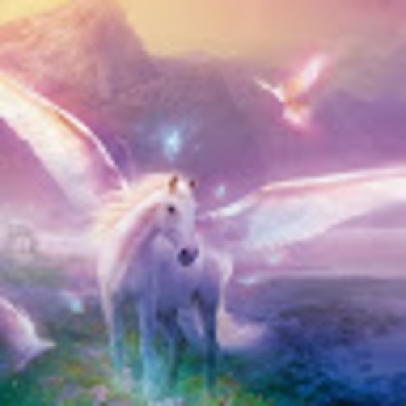 Meet your Posher, Trish - Picture 1 of 1